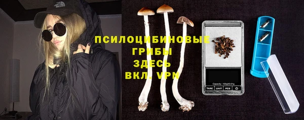 соль ск Нязепетровск