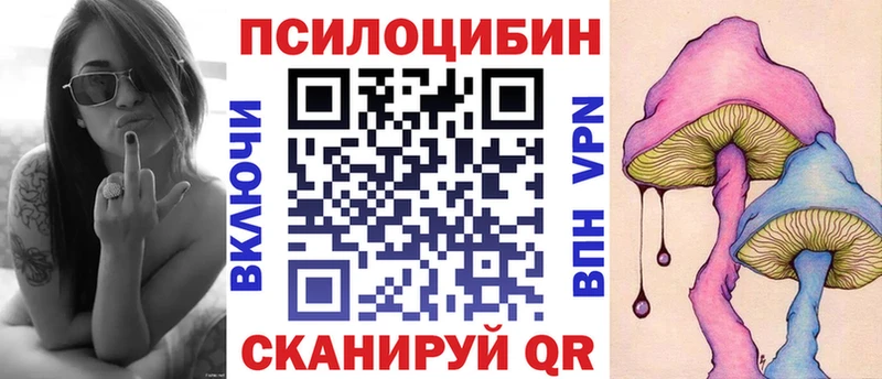 Галлюциногенные грибы Psilocybe  что такое   Курлово 